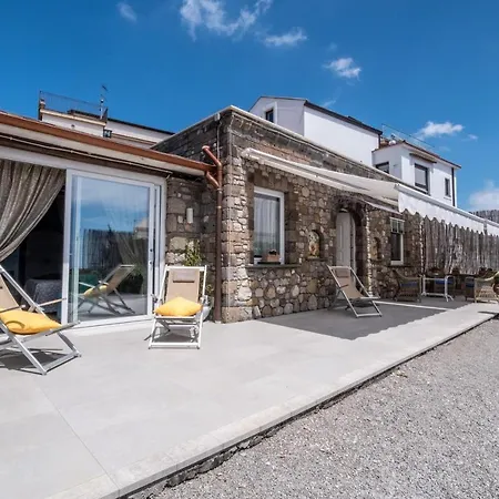 Casa Viva *